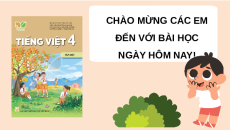 Giáo án Powerpoint Viết: Trả bài viết đoạn văn nêu ý kiến (trang 25) Tiếng việt lớp 4 Kết nối tri thức