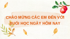 Giáo án Powerpoint Bài 6: Dự án trồng rau an toàn Công nghệ 7 Kết nối tri thức