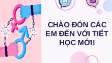 Giáo án Powerpoint Bài 10 KTPL 11 Kết nối tri thức: Bình đẳng trong các lĩnh vực