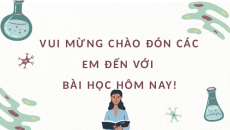 Giáo án Powerpoint Thực hành làm và quan sát tiêu bản quá trình nguyên phân và giảm phân Sinh học 10 Kết nối tri thức