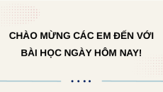 Giáo án Powerpoint Bài B3: Thực hành Tin học 12 Chân trời sáng tạo