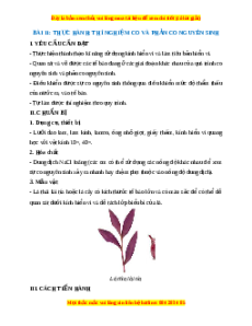 Lý thuyết Sinh học 10 Kết nối tri thức Bài 11: Thực hành thí nghiệm co và phản co nguyên sinh