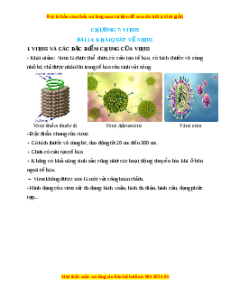 Lý thuyết Sinh học 10 Kết nối tri thức Bài 24: Khái quát về virus