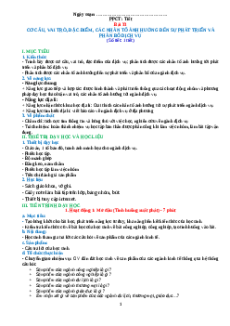 Giáo án Bài 33 Địa lí 10 Kết nối tri thức: Cơ cấu, vai trò, đặc điểm, các nhân tố ảnh hưởng đến sự phát triển và phân bố dịch vụ