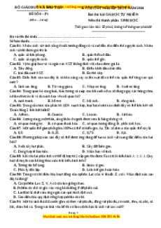 Đề Tốt nghiệp Sinh học 2024 theo đề tham khảo (Đề 6)