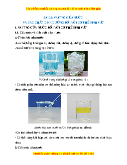 Lý thuyết Khoa học tự nhiên 7 Chân trời sáng tạo Bài 28: Vai trò của nước và các chất dinh dưỡng đối với cơ thể sinh vật