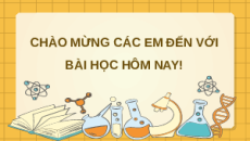 Giáo án Powerpoint Chuyên đề Bài 8: Dự án Điều tra một số bệnh dịch phổ biến ở người và tuyên truyền phòng chống Sinh học 11 Kết nối tri thức