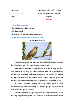 Bài tập cuối tuần Tiếng Việt lớp 5 Chân trời sáng tạo Tuần 4