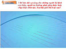 Giáo án Powerpoint Hệ hô hấp ở người Sinh học - KHTN 8 Kết nối tri thức