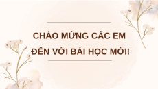 Giáo án Powerpoint Bài 13 Lịch sử & Địa lí lớp 4 Chân trời sáng tạo: Văn miếu - Quốc tử giám