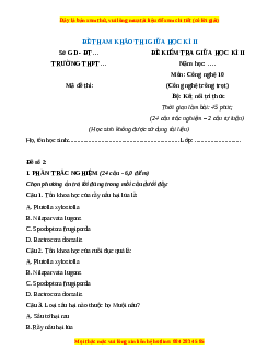 Đề thi Công nghệ 10 giữa kì 2 Kết nối tri thức (Công nghệ trồng trọt) - Đề 2