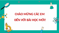 Giáo án Powerpoint Bài 19: Sinh học 10 Cánh diều: Quá trình tổng họp phân giải ở vi sinh vật và ứng dụng