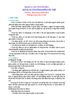 Giáo án Bài 43 KHTN 9 Chân trời sáng tạo (2024): Di truyền nhiễm sắc thể