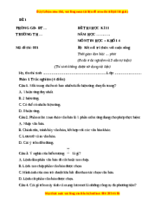 Đề thi giữa kì 2 Tin học lớp 4 Kết nối tri thức (Đề 1)