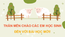 Giáo án Powerpoint Dinh dưỡng và tiêu hóa ở động vật Sinh học 11 Cánh diều