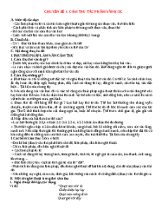 Bỗi dưỡng HSG Văn 7 Cảm thụ các tác phẩm văn học