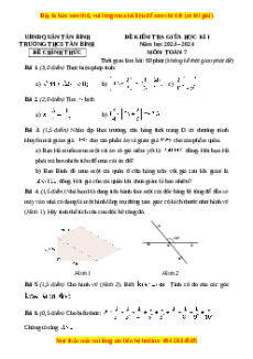 Đề thi giữa kì 1 Toán 7 trường THCS Tân Bình TP Hồ Chí Minh