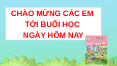 Giáo án Powerpoint Đọc mở rộng (trang 23) Tiếng việt lớp 4 Kết nối tri thức (Phiên bản 2)