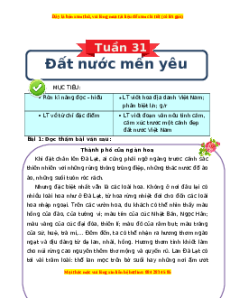 Bài tập cuối tuần Tiếng việt lớp 3 Tuần 31 Chân trời sáng tạo (có lời giải)