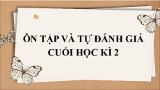 Giáo án Powerpoint Ôn tập và tự đánh giá cuối học kì 2 Ngữ văn 9 Cánh diều