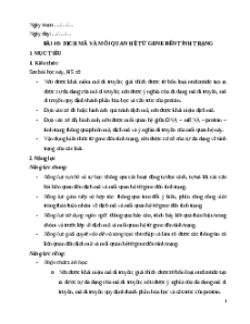 Giáo án Bài 40 KHTN 9 Kết nối tri thức (2024): Dịch mã và mối quan hệ từ gene đến tính trạng