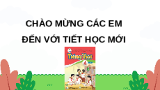Giáo án Powerpoint Ôn tập cuối học kì 1 (Tiết 6, 7) Tiếng việt lớp 4 Cánh diều