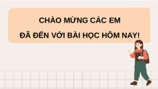 Giáo án Powerpoint Sinh trưởng và phát triển ở thực vật Sinh học 11 Kết nối tri thức