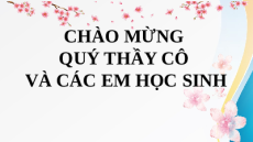 Giáo án Powerpoint Thực hành tiếng Việt Ngữ văn 8 Chân trời sáng tạo