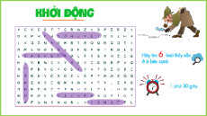 Giáo án Powerpoint Bài 25 Địa lí 10 Kết nối tri thức: Địa lí ngành lâm nghiệp và ngành thủy sản