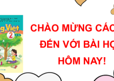 Giáo án Powerpoint Bài 24: Những người bạn nhỏ Tiếng việt lớp 2 Cánh diều