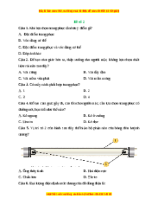 Đề thi giữa kì 2 Công nghệ 6 Kết nối tri thức (Đề 2)
