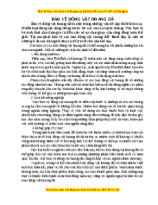 Phiếu bài tập Tuần 1 Bảo vệ động vật hoang dã – Cần sự chung tay của cả thế giới Ngữ văn 6