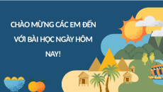 Giáo án Powerpoint Ôn tập chương 3 Công nghệ trồng trọt 10 Kết nối tri thức