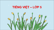 Giáo án Powerpoint Tiếng Việt lớp 5 Cánh diều Học kì 2