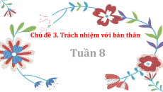 Bài giảng Powerpoint Chủ đề 3: Trách nhiệm với bản thân