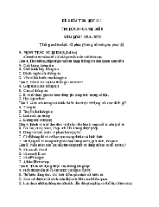 Đề thi Cuối kì 1 Tin học 9 Cánh diều (Đề 3)