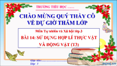 Giáo án Powerpoint Bài 14: Sử dụng hợp lí thực vật và động vật Tự nhiên xã hội lớp 3 Cánh diều