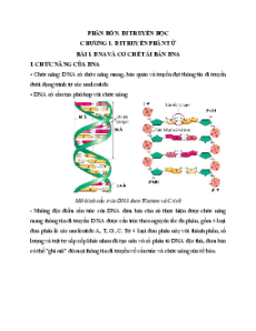 Lý thuyết Sinh học 12 Kết nối tri thức (cả năm)