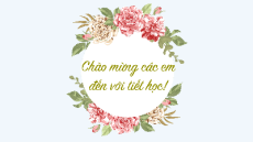 Giáo án Powerpoint Tri thức ngữ văn trang 101 Ngữ văn 11 Kết nối tri thức