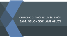 Giáo án Powerpoint Bài 4 Lịch sử 6 Kết nối tri thức: Nguồn gốc loài người