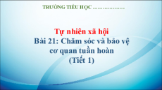 Giáo án Powerpoint Bài 21: Chăm sóc và bảo vệ cơ quan tuần hoàn Tự nhiên xã hội lớp 3 Kết nối tri thức