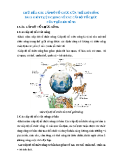 Lý thuyết Sinh học 10 Cánh diều Bài 3: Giới thiệu chung về các cấp độ tổ chức của thế giới sống