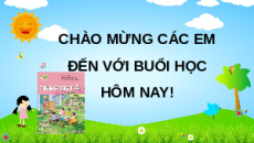 Giáo án Powerpoint Viết: Trả bài văn kể lại một câu chuyện (trang 50) Tiếng việt lớp 4 Kết nối tri thức (Phiên bản 2)