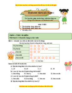 Bài tập cuối tuần Toán 4 Tuần 2 Chân trời sáng tạo (có lời giải)