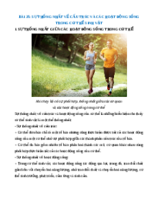 Lý thuyết Sự thống nhất về cấu trúc và các hoạt động sống trong cơ thể sinh vật KHTN 7 Cánh diều