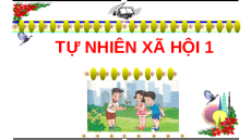 Giáo án Powerpoint Ôn tập chủ đề 4 Tự nhiên xã hội lớp 1 Cánh diều