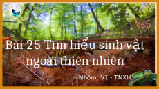 Giáo án Powerpoint Bài 25: Tìm hiểu sinh vật ngoài thiên nhiên KHTN 6 Cánh diều