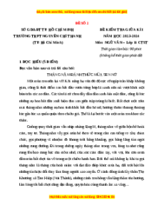 Đề thi giữa kì 1 Sở GD & ĐT Hồ Chí Minh Ngữ văn 11 Chân trời sáng tạo (đề 12)