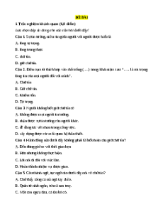 Đề thi cuối kì 1 GDCD 7 Chân trời sáng tạo (Đề 2)