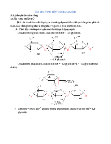 Chuyên đề dạy thêm Chủ đề 6: Tinh bột và cellulose Hóa học 12 (sách mới)